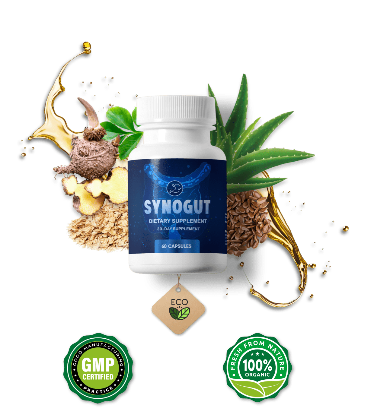 SynoGut Contact & Support